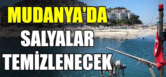 Mudanya'da salyalar temizlenecek