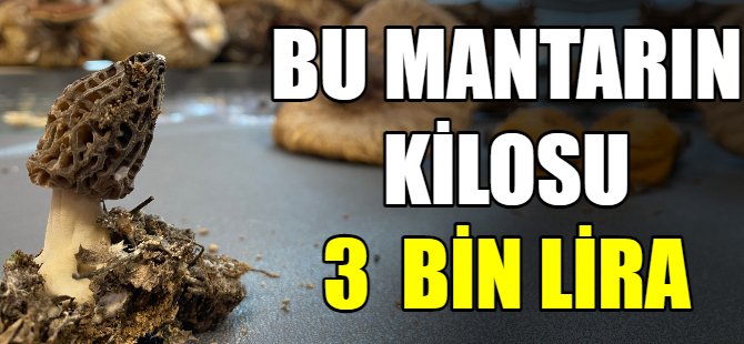 Kilosu 3 bin TL'ye satılıyor