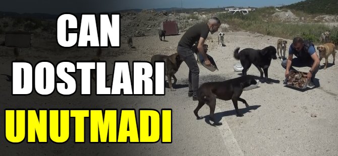 Can dostları unutmadı