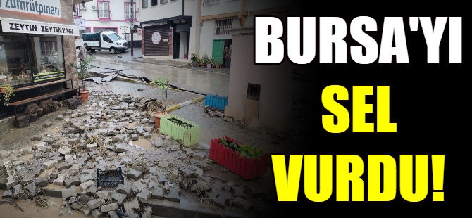 Bursa'nın ilçelerini sel vurdu