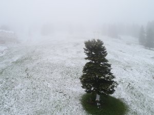 Uludağ'da kar sürprizi