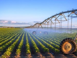 'Acil tarım politikası oluşturulmalı'
