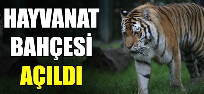 Hayvanat Bahçesi kapılarını açtı
