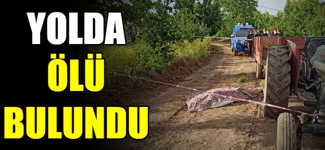 Yolda ölü bulundu!