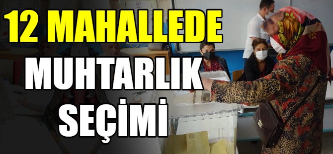 12 mahallede muhtarlık seçimi