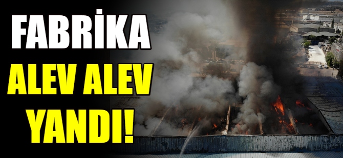 Fabrika alev alev yandı