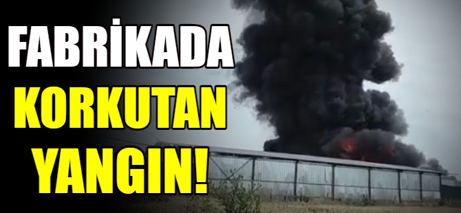 Fabrikada korkutan yangın!