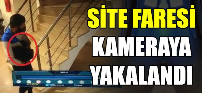 Ayakkabı hırsızı kameraya yakalandı