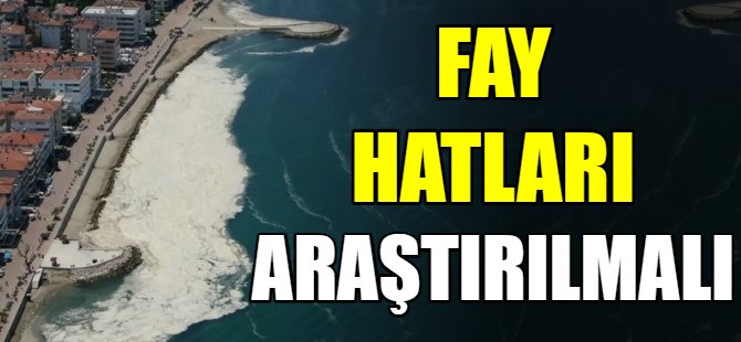 'Fay hatları incelenmeli!'