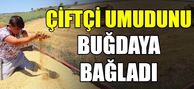 Çiftçi umudunu buğdaya bağladı