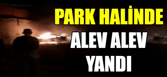 Park halinde alev alev yandı!
