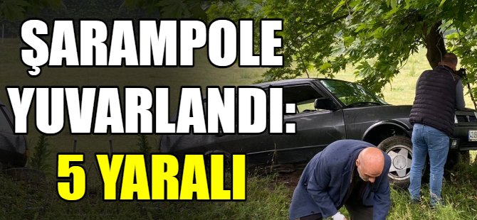 Şarampole yuvarlandı: 5 yaralı