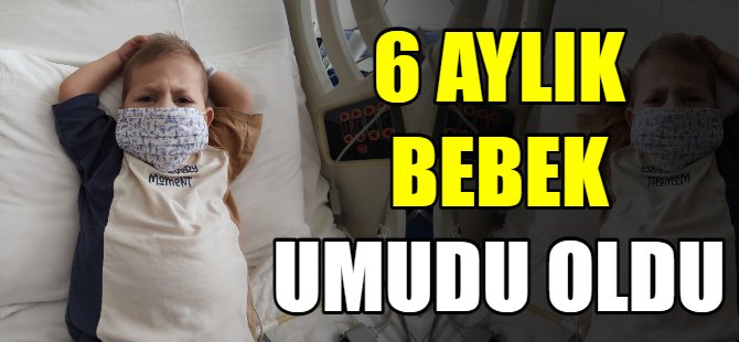 6 Aylık bebek umudu oldu