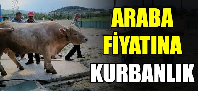 Araba fiyatına satışa çıktı