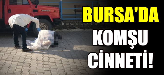Bursa'da komşu cinneti!