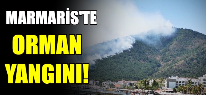 Marmaris'te orman yangını