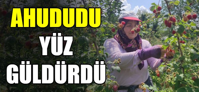 Ahududu yüz güldürdü