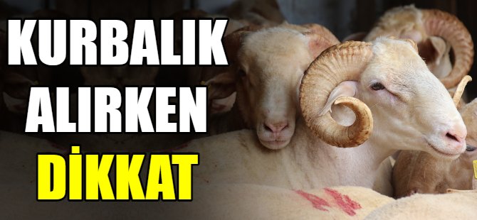Düşük fiyatlı kurbanlıklara dikkat
