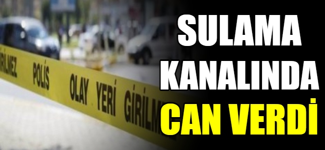 Sulama kanalında can verdi