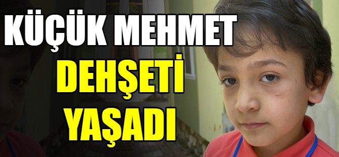 Küçük çocuk dehşeti yaşadı