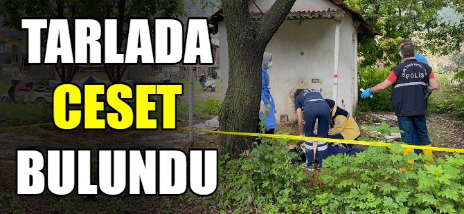 Bursa'da tarlada ceset bulundu
