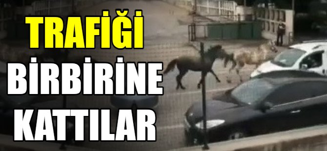 Trafiği birbirine kattılar