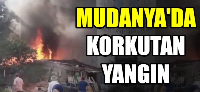 Mudanya'da korkutan yangın