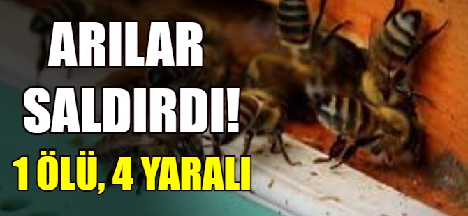 Arı saldırısı: 1 ölü, 4 yaralı