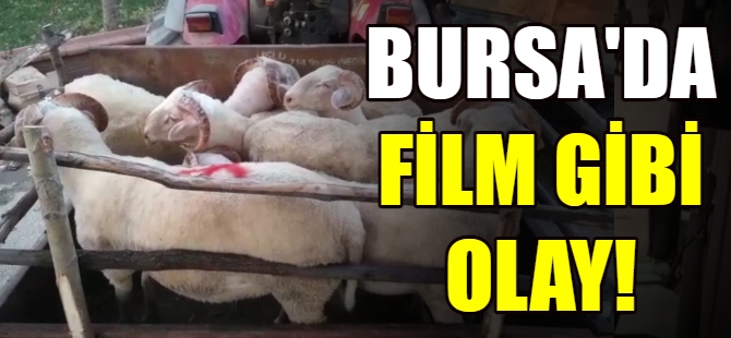 Bursa'da film gibi olay!