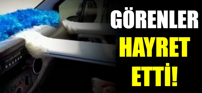 Görenler hayret etti!