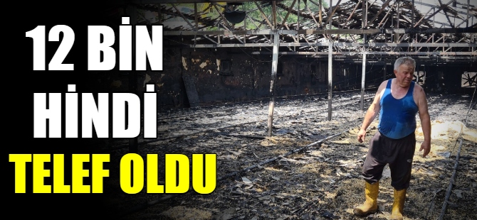 Yangında 12 bin hindi telef oldu