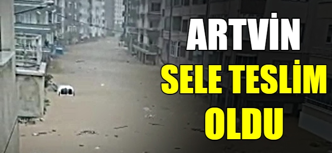 Artvin'de sel felaketi