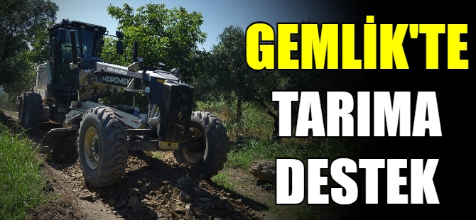 Gemlik'te tarıma destek