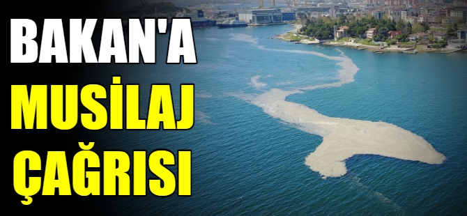 Bursa'dan Bakan'a musilaj çağrısı