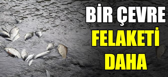 Bursa'da bir çevre felaketi daha