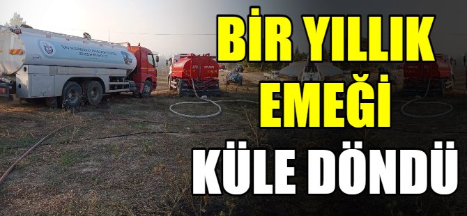 Bir yıllık emeği küle döndü