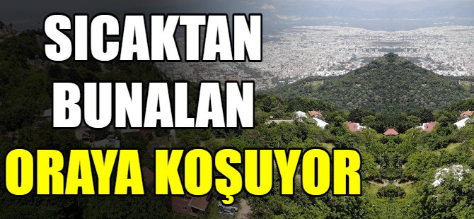 Sıcaktan bunalan oraya koşuyor