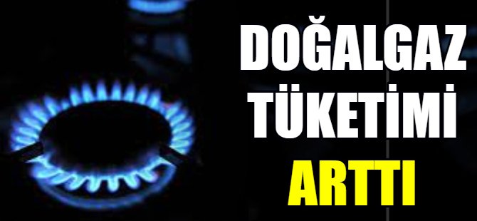 Doğalgaz tüketimi arttı