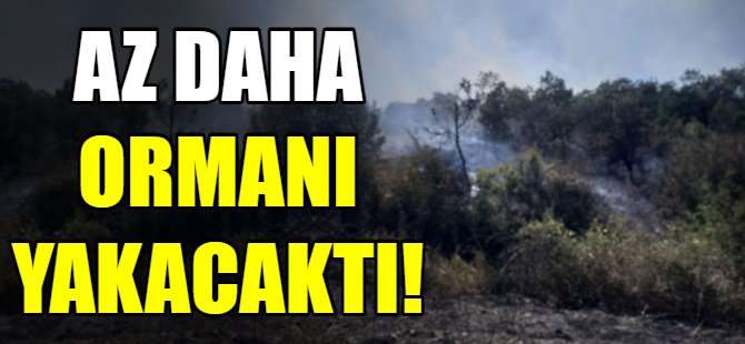 Az daha ormanı yakıyordu!