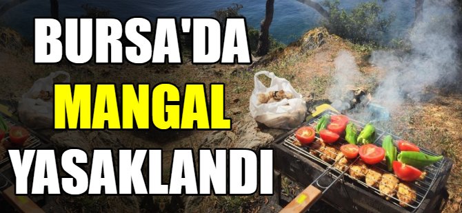 Bursa'da mangal yakmak yasaklandı