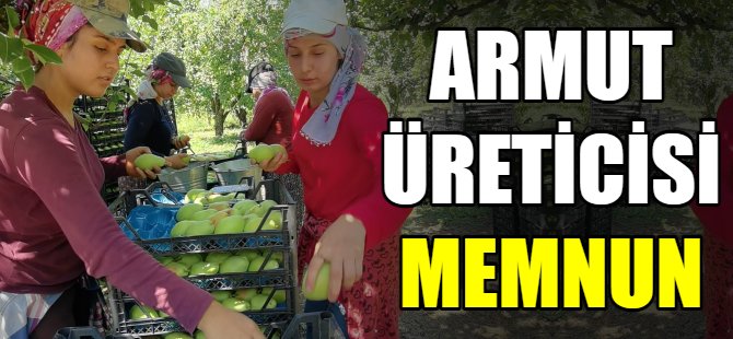 Armut fiyatları yüz güldürdü