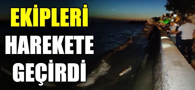 Ağlara takılan balığı ceset zannettiler