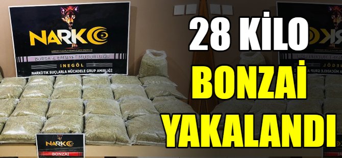 28 kilo bonzai yakalandı