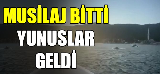 Musilaj bitti yunuslar geldi