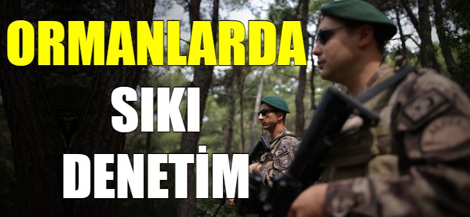 Bursa ormanlarında sıkı denetim