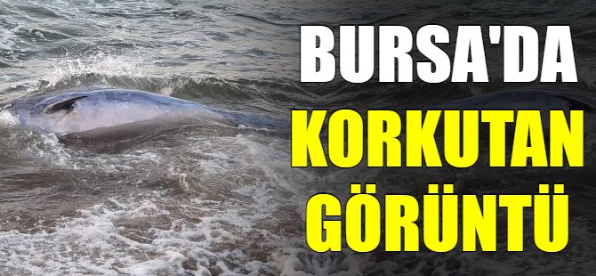 Bursa'da korkutan görüntüler!