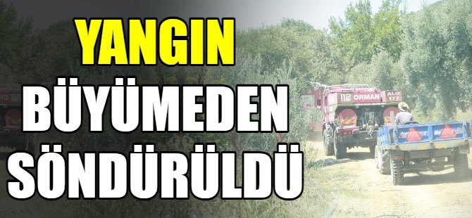 Orhangazi'de orman yangını
