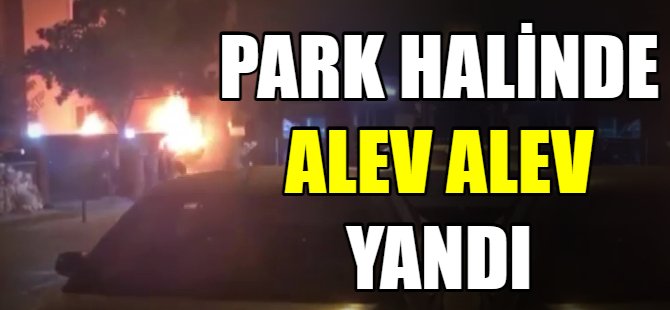 Park halinde alev alev yandı!