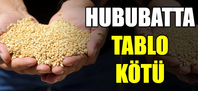 Hububatta tablo kötü