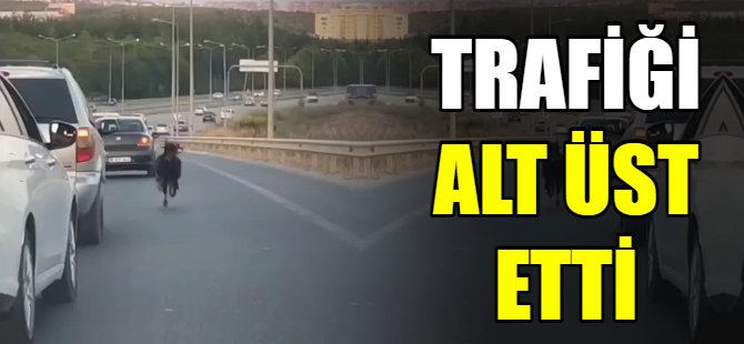 Trafiği alt üst etti